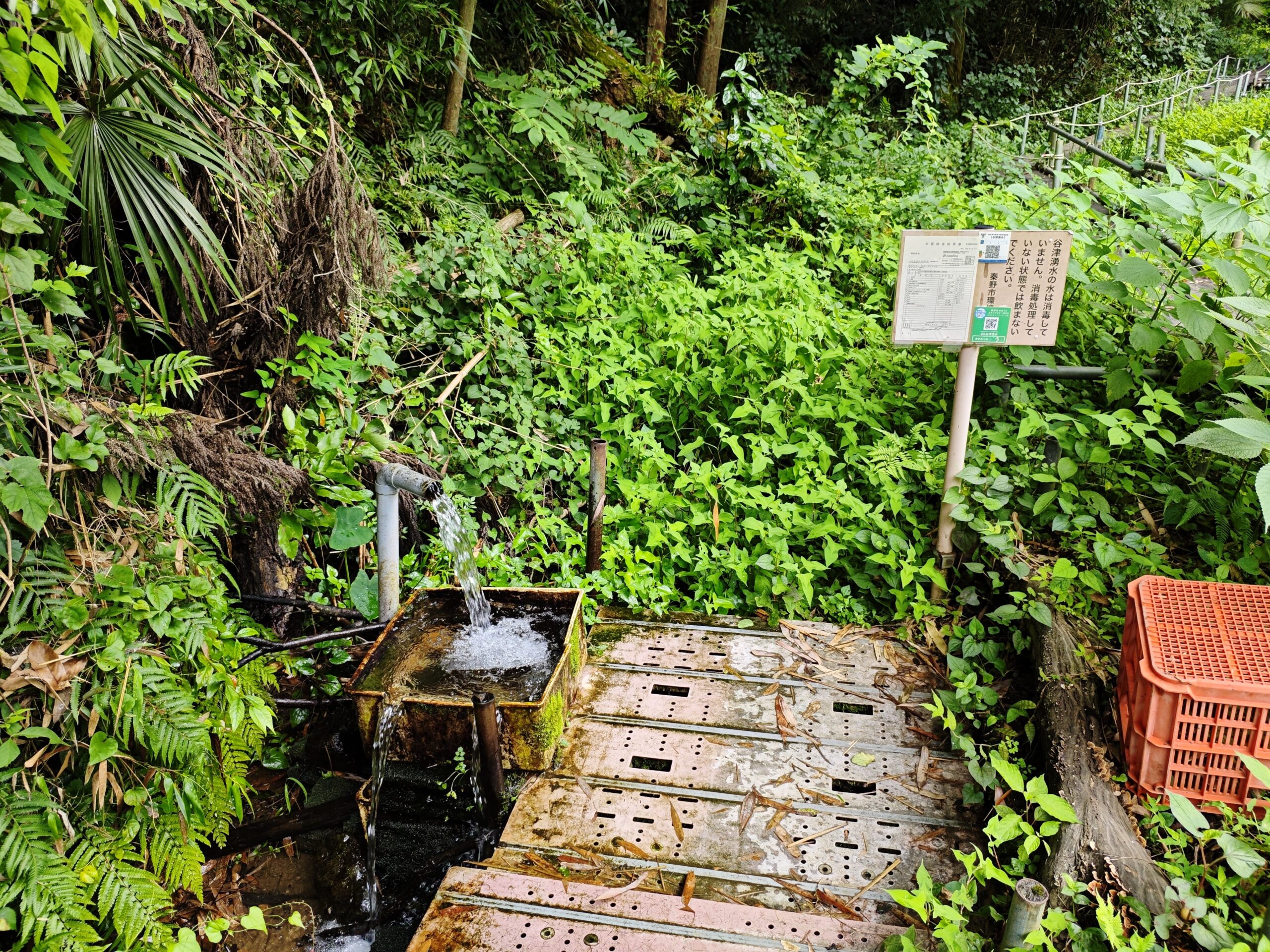 神奈川県秦野市にある谷津湧水の写真